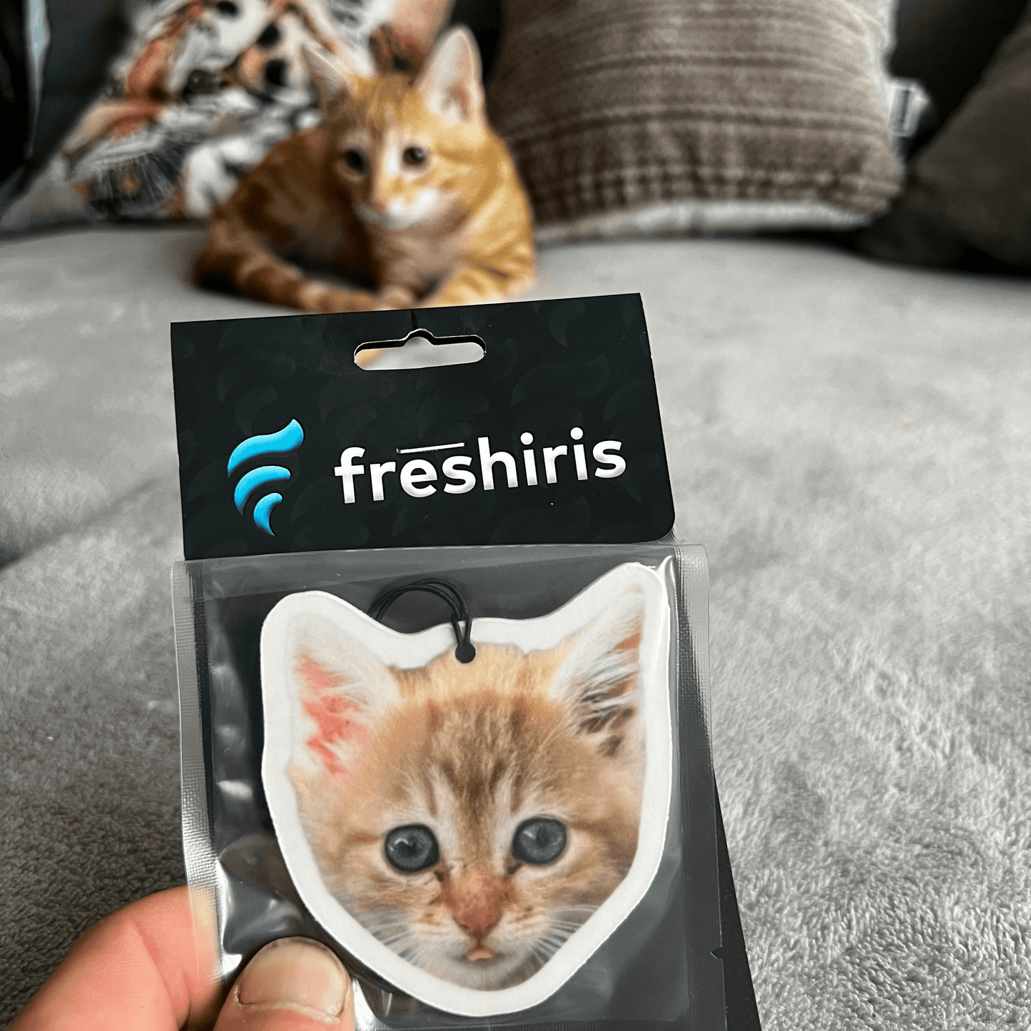 Pack of 3 Custom Fresheners